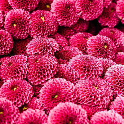 安卓加速器 | 3月19日19.4M/S|免费Clash节点/Shadowrocket节点/Trojan节点/Singbox节点/V2ray节点/SSR节点节点推荐，在线Clash机场梯子购买推荐