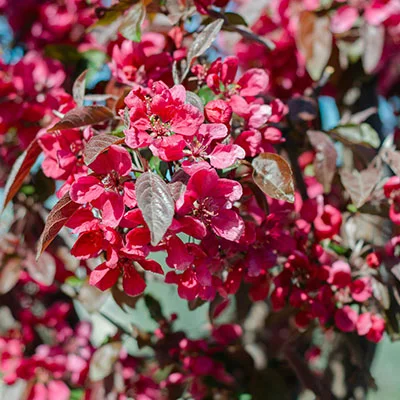 安卓加速器 | 3月30日18.4M/S|免费Clash节点/Shadowrocket节点/V2ray节点/Trojan节点/Singbox节点/SSR节点节点推荐，在线Clash机场梯子购买推荐