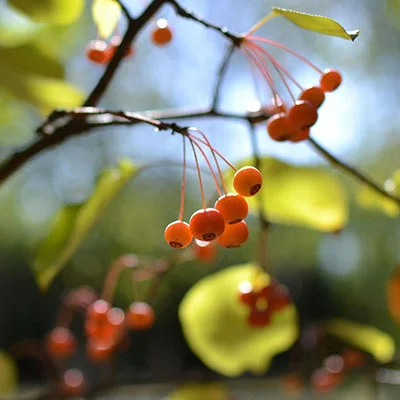 安卓加速器 | 3月15日22.7M/S|免费Clash节点/Singbox节点/Trojan节点/Shadowrocket节点/SSR节点/V2ray节点节点推荐，在线Clash机场梯子购买推荐