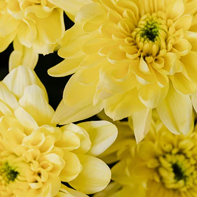 安卓加速器 | 12月26日19.5M/S|免费Singbox节点/Shadowrocket节点/Clash节点/SSR节点/V2ray节点节点推荐，在线Clash机场梯子购买推荐