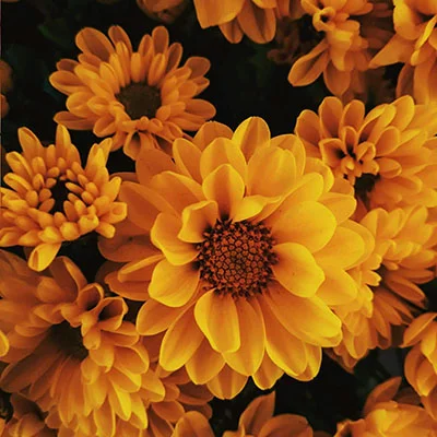 安卓加速器 | 3月28日18.5M/S|免费V2ray节点/Trojan节点/Clash节点/Shadowrocket节点/Singbox节点/SSR节点节点推荐，在线Clash机场梯子购买推荐