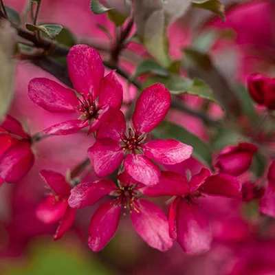 安卓加速器 | 2月8日19M/S|免费Clash节点/Shadowrocket节点/V2ray节点/Singbox节点/SSR节点/Trojan节点节点推荐，在线Clash机场梯子购买推荐