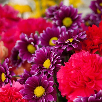 安卓加速器 | 3月21日21.7M/S|免费SSR节点/Shadowrocket节点/Singbox节点/Trojan节点/V2ray节点/Clash节点节点推荐，在线Clash机场梯子购买推荐