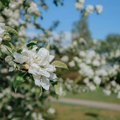 安卓加速器 | 2月22日21.5M/S|免费Shadowrocket节点/Singbox节点/V2ray节点/Clash节点/Trojan节点/SSR节点节点推荐，在线Clash机场梯子购买推荐